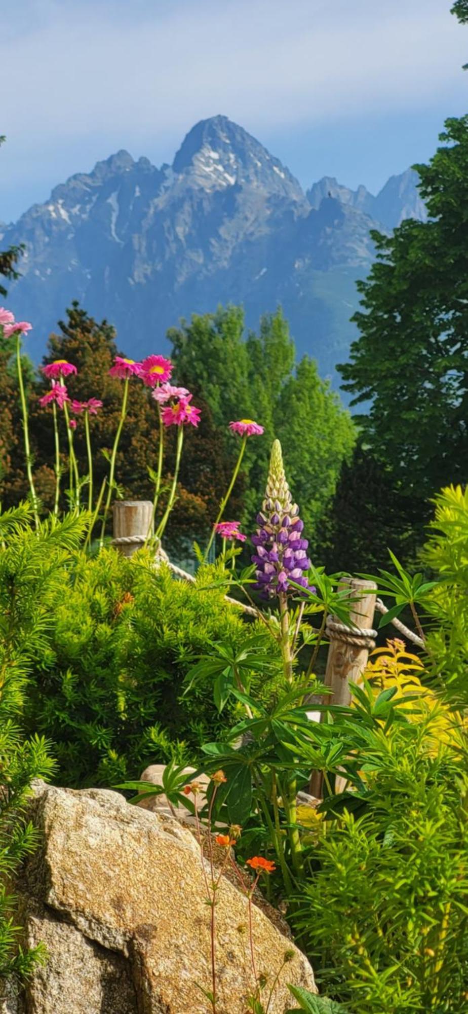 Vila Kollar Vysoké Tatry Kamer foto